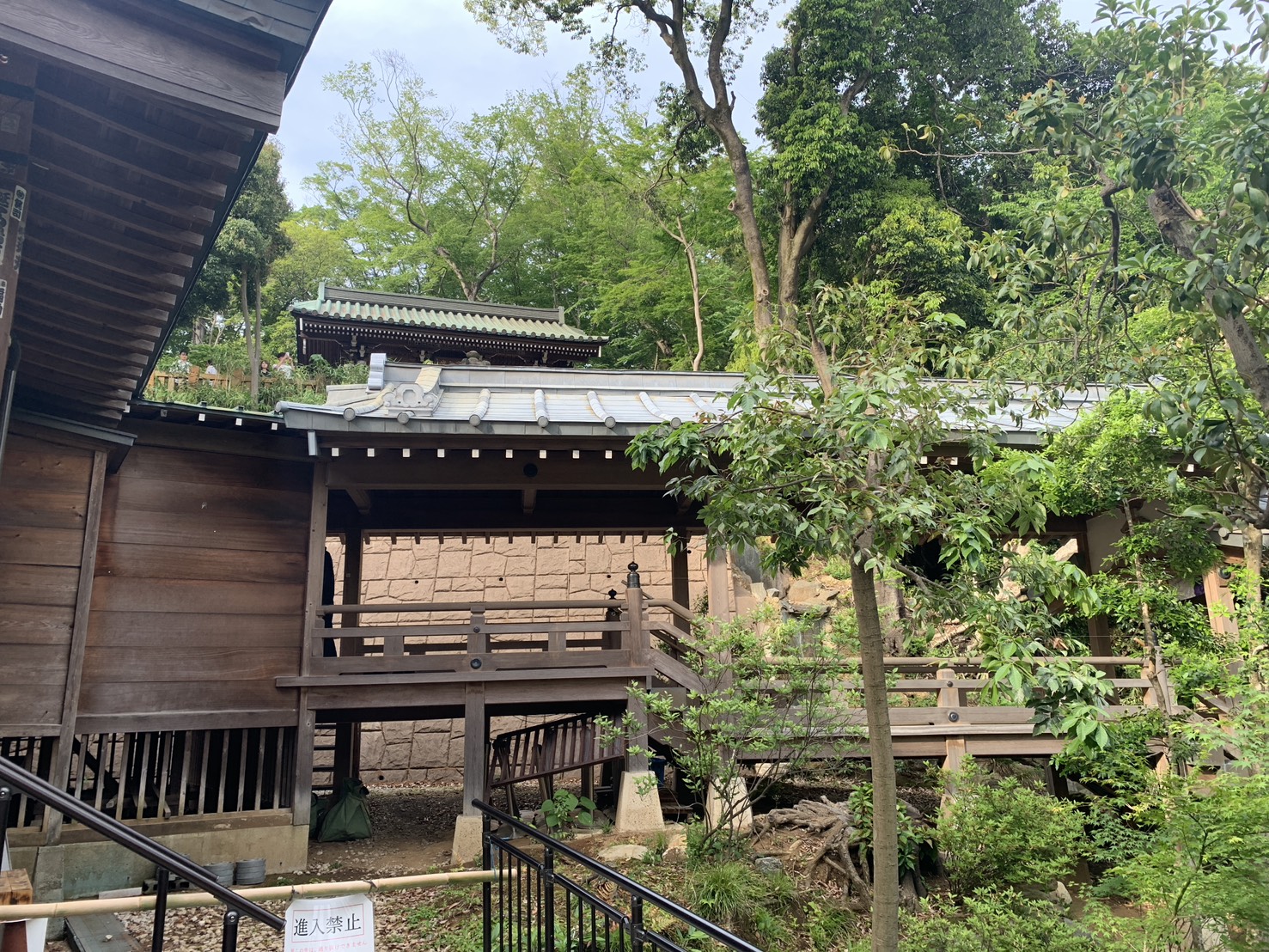 Pilgrimage photo 4